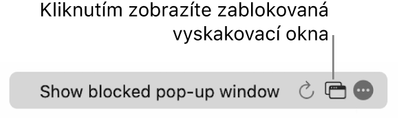 Dynamické vyhledávací pole s tlačítkem pro zobrazení zablokovaných vyskakovacích oken.