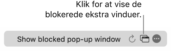 Det smarte søgefelt med en knap til at vise blokerede ekstra vinduer.