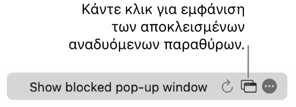 Το πεδίο Έξυπνης αναζήτησης με ένα κουμπί για εμφάνιση των αποκλεισμένων αναδυόμενων παραθύρων.