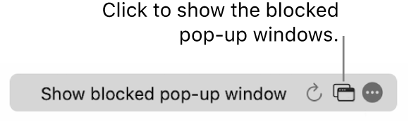 The Smart Search field with a button to show blocked pop-up windows.