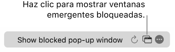 El campo de búsqueda inteligente con un botón para mostrar las ventanas emergentes bloqueadas.