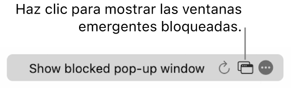 El campo de búsqueda inteligente con un botón para mostrar las ventanas emergentes bloqueadas.