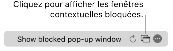 Le champ de recherche intelligente avec un bouton pour afficher les fenêtres contextuelles bloquées.