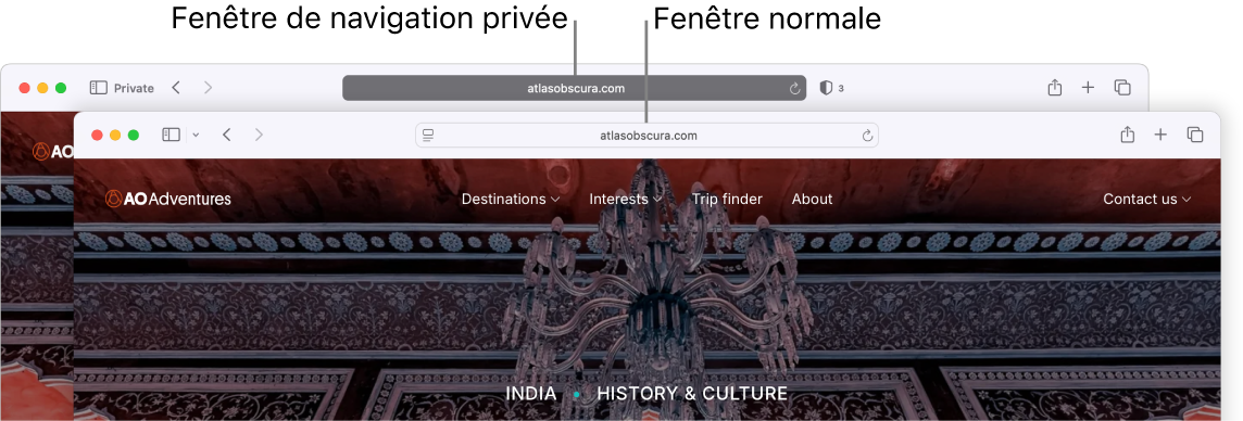 Une fenêtre Safari privée avec son champ de recherche intelligente sombre, et une fenêtre Safari normale avec son champ de recherche intelligente clair.