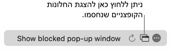 השדה ״חיפוש חכם״ מציג כפתור להצגת החלונות הקופצניים החסומים.