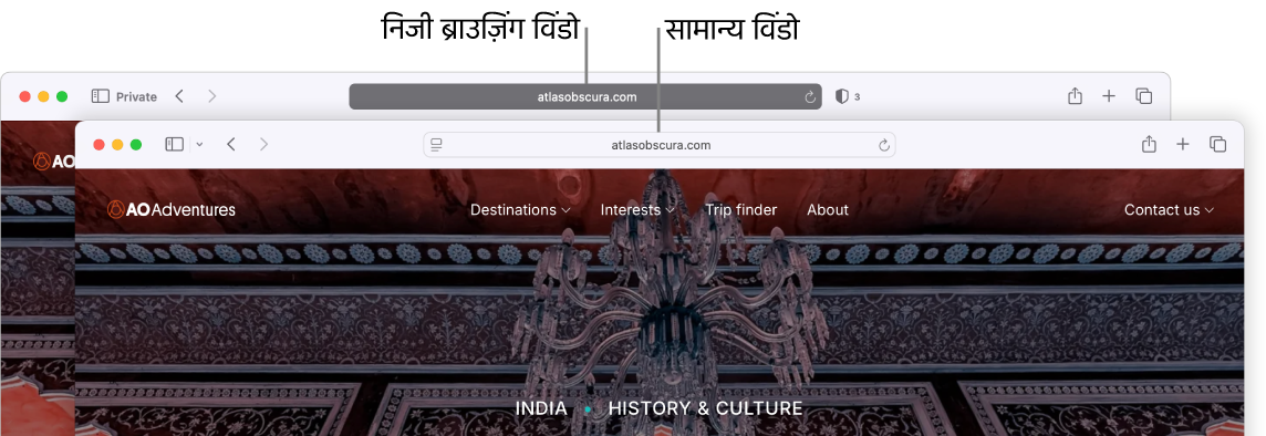 निजी Safari विंडो में गहरे रंग का स्मार्ट खोज फ़ील्ड और सामान्य Safari विंडो में हल्के रंग का स्मार्ट खोज फ़ील्ड।
