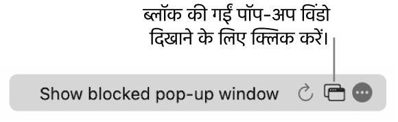 स्मार्ट खोज फ़ील्ड जिसमें ब्लॉक की गईं पॉप-अप विंडो दिखाने के लिए बटन है।