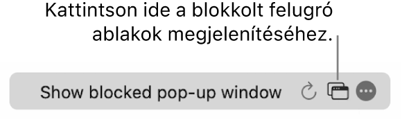 Az intelligens keresési mező egy gombbal a blokkolt felugró ablakok megjelenítéséhez.
