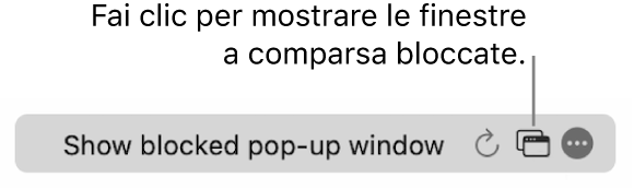Il campo di ricerca smart con un pulsante per mostrare le finestre a comparsa bloccate.