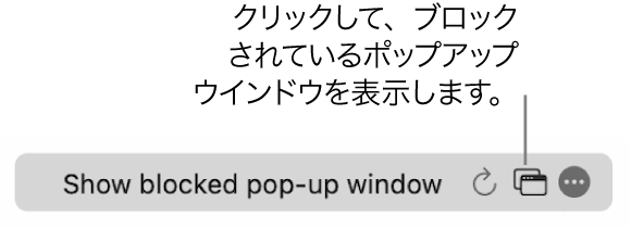 スマート検索フィールド。ブロックされているポップアップウインドウを表示するボタンがあります。