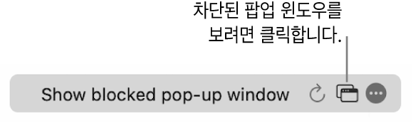 차단된 팝업 윈도우를 표시하는 버튼이 있는 스마트 검색 필드.