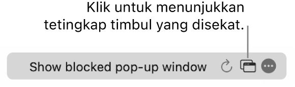 Medan Carian Pintar dengan butang untuk menunjukkan tetingkap timbul yang disekat.