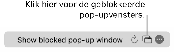 Het slimme zoekveld met een knop om het aantal geblokkeerde pop‑upvensters te tonen.