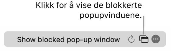 Det smarte søkefeltet med en knapp for å vise blokkerte popupvinduer.