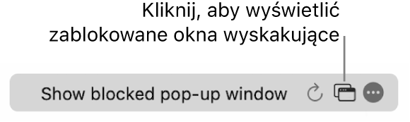 Inteligentne pole wyszukiwania z przyciskiem umożliwiającym wyświetlenie zablokowanych okien wyskakujących.