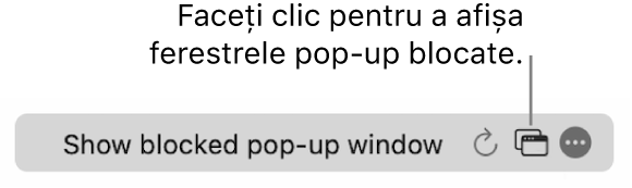 Câmpul de căutare inteligentă cu un buton pentru afișarea ferestrelor pop‑up blocate.