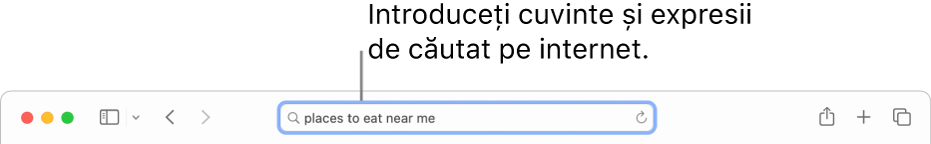 Câmpul de căutare inteligentă din Safari, unde puteți introduce cuvinte și expresii de căutat pe internet.