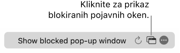 Pametno iskalno polje z gumbom, ki prikazuje blokirana pojavna okna.