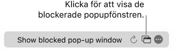 Det smarta sökfältet med en knapp för att visa blockerade popupfönster.