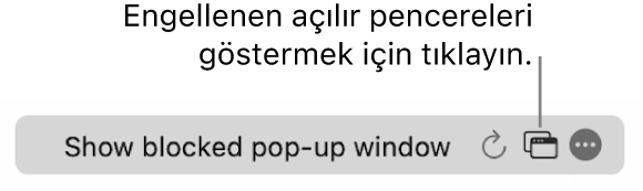 Engellenen açılır pencereleri göstermeye yönelik bir düğme ile akıllı arama alanı.