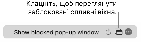 Поле динамічного пошуку з кнопкою, що дає змогу відображати заблоковані спливні вікна.