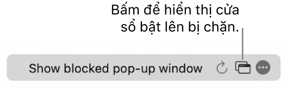 Trường Tìm kiếm thông minh với một nút để hiển thị các cửa sổ bật lên bị chặn.
