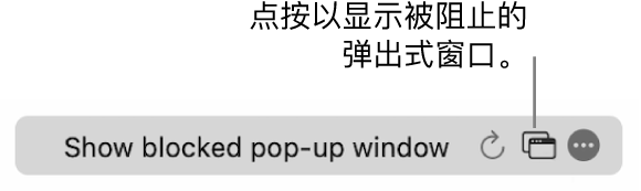 智能搜索栏包含显示被阻止的弹出式窗口的按钮。