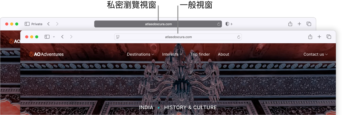 顯示深色「智慧型搜尋」欄位的私人 Safari 視窗和顯示淺色「智慧型搜尋」欄位的普通 Safari 視窗。