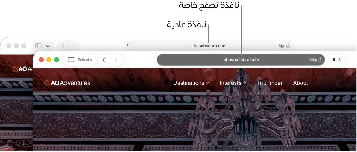 نافذة سفاري خاصة تحتوي على حقل بحث ذكي باللون الداكن، ونافذة سفاري عادية تحتوي على حقل بحث ذكي باللون الفاتح.