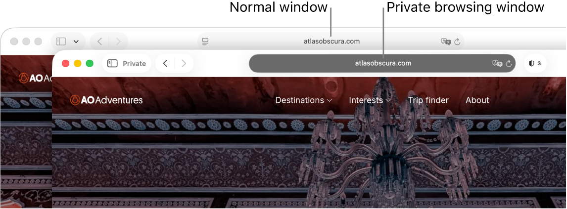 A private Safari window with its dark Smart Search field, and a normal Safari window with its light Smart Search field.