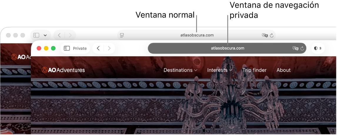 Una ventana privada de Safari con su campo de búsqueda inteligente obscuro y una ventana de Safari normal con su campo de búsqueda inteligente claro.