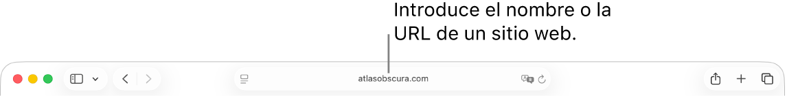 El campo de búsqueda inteligente de Safari, donde puedes escribir el nombre o la URL de un sitio web.