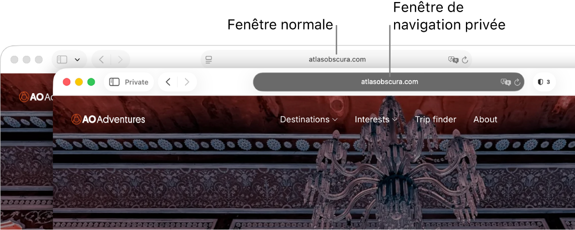 Une fenêtre Safari privée avec son champ de recherche intelligente sombre, et une fenêtre Safari normale avec son champ de recherche intelligente clair.