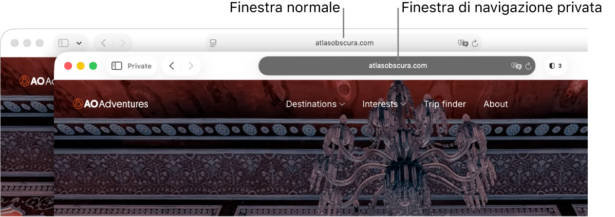 Una finestra privata di Safari con il campo di ricerca smart scuro e una finestra normale di Safari con il campo di ricerca smart chiaro.