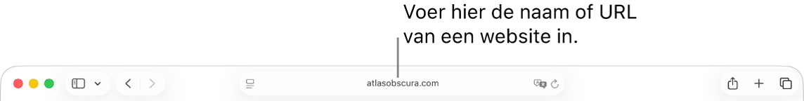 Het slimme zoekveld van Safari, waarin je de naam of URL van een website kunt typen.