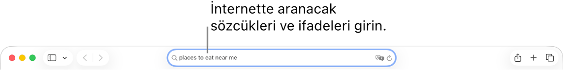 İnternette aramak istediğiniz sözcükleri ve ifadeleri girebileceğiniz Safari akıllı arama alanı.