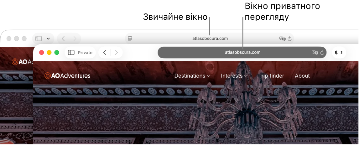 Приватне вікно Safari з темним полем динамічного пошуку та звичайне вікно Safari зі світлим полем динамічного пошуку.