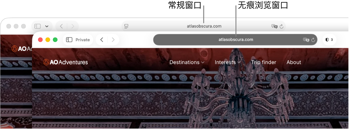 Safari 浏览器的无痕浏览窗口,包含深色的智能搜索栏;常规的 Safari 浏览器窗口,包含浅色的智能搜索栏。