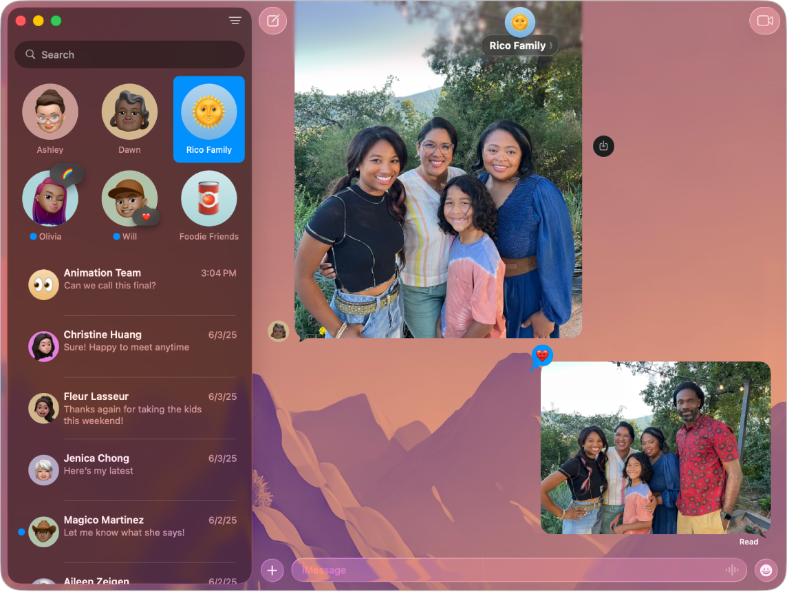 Mac 上的“信息” App 窗口在左侧显示生成的对话摘要。