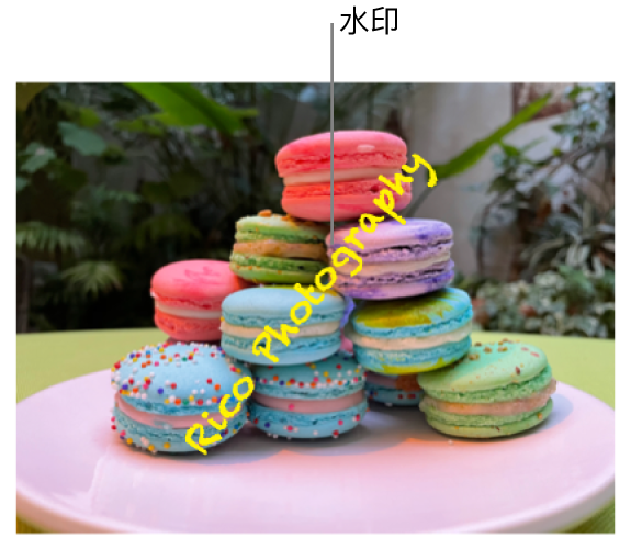 一张照片，显示文本水印“Rico Photography”出现在照片的对角线上。