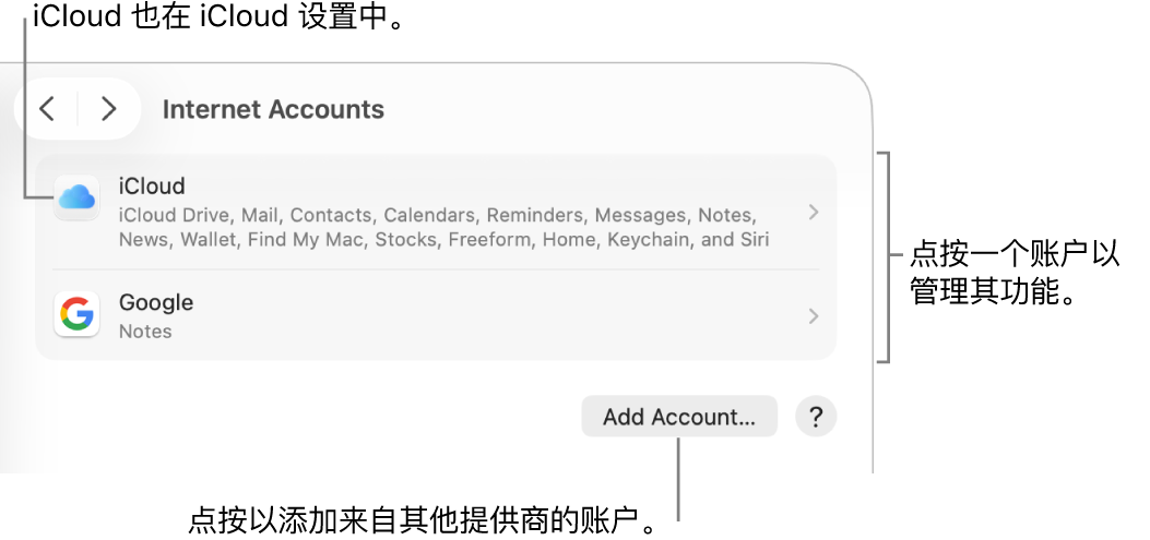 “互联网账户”设置，其中列出了在 Mac 上设置的账户。