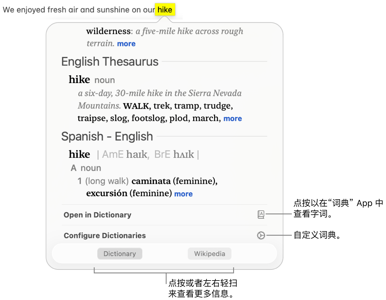 “查询”窗口,显示某个字词的词典和辞典定义。