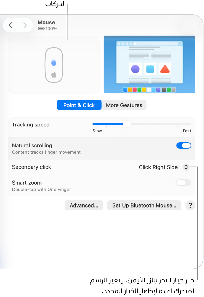 خيارات الماوس في إعدادات النظام، ويظهر بها خيار النقر الثانوي المعيَّن على "النقر على اليمين" والحركة المقابلة.