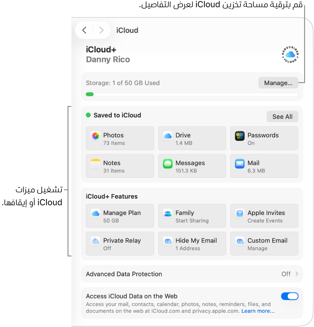 إعدادات iCloud للميزات الأكثر استخدامًا.