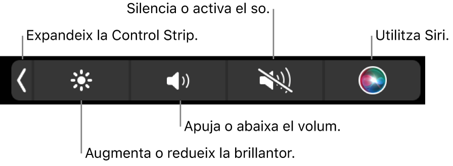 La Control Strip contreta inclou botons, d’esquerra a dreta, per ampliar la Control Strip, augmentar o reduir la brillantor de la pantalla i el volum, silenciar o activar el so i utilitzar Siri.