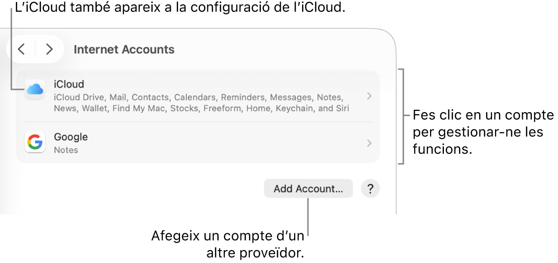La configuració dels comptes d’internet amb una llista dels comptes configurats al Mac.