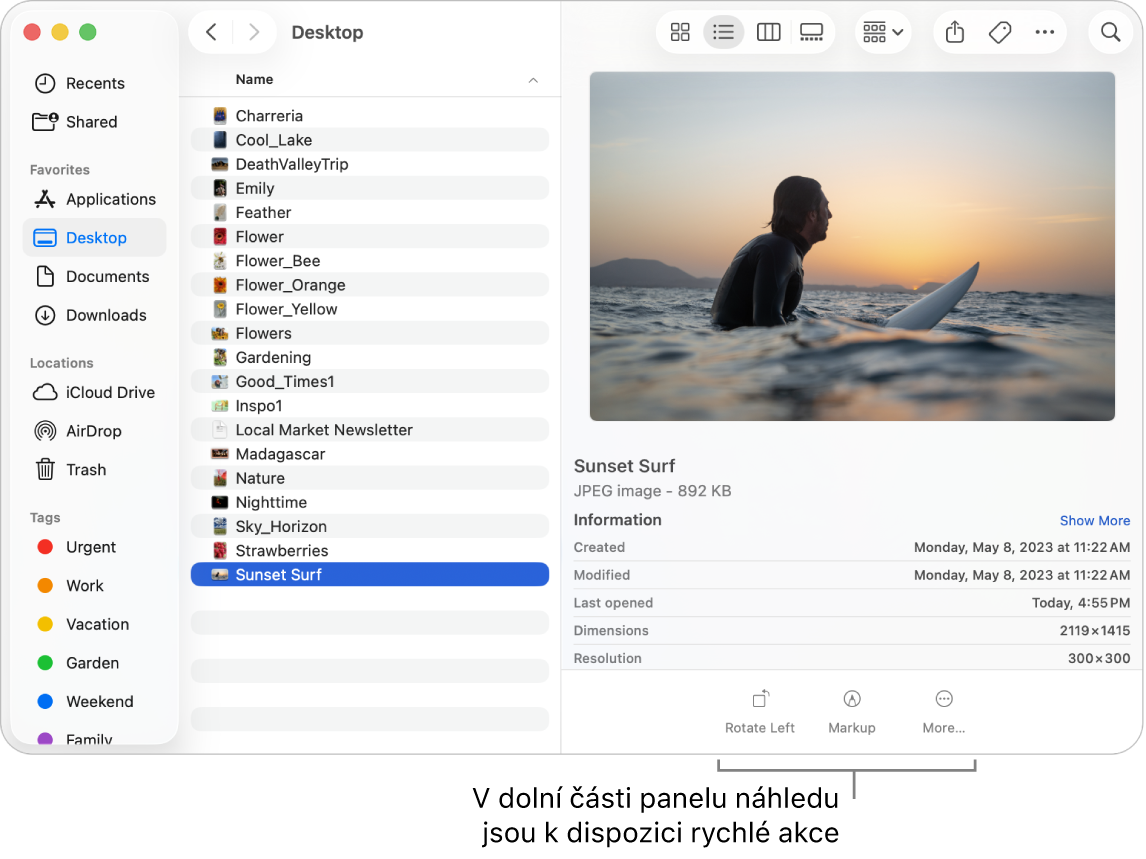 Dolní část panelu náhledu s tlačítky pro rychlé akce