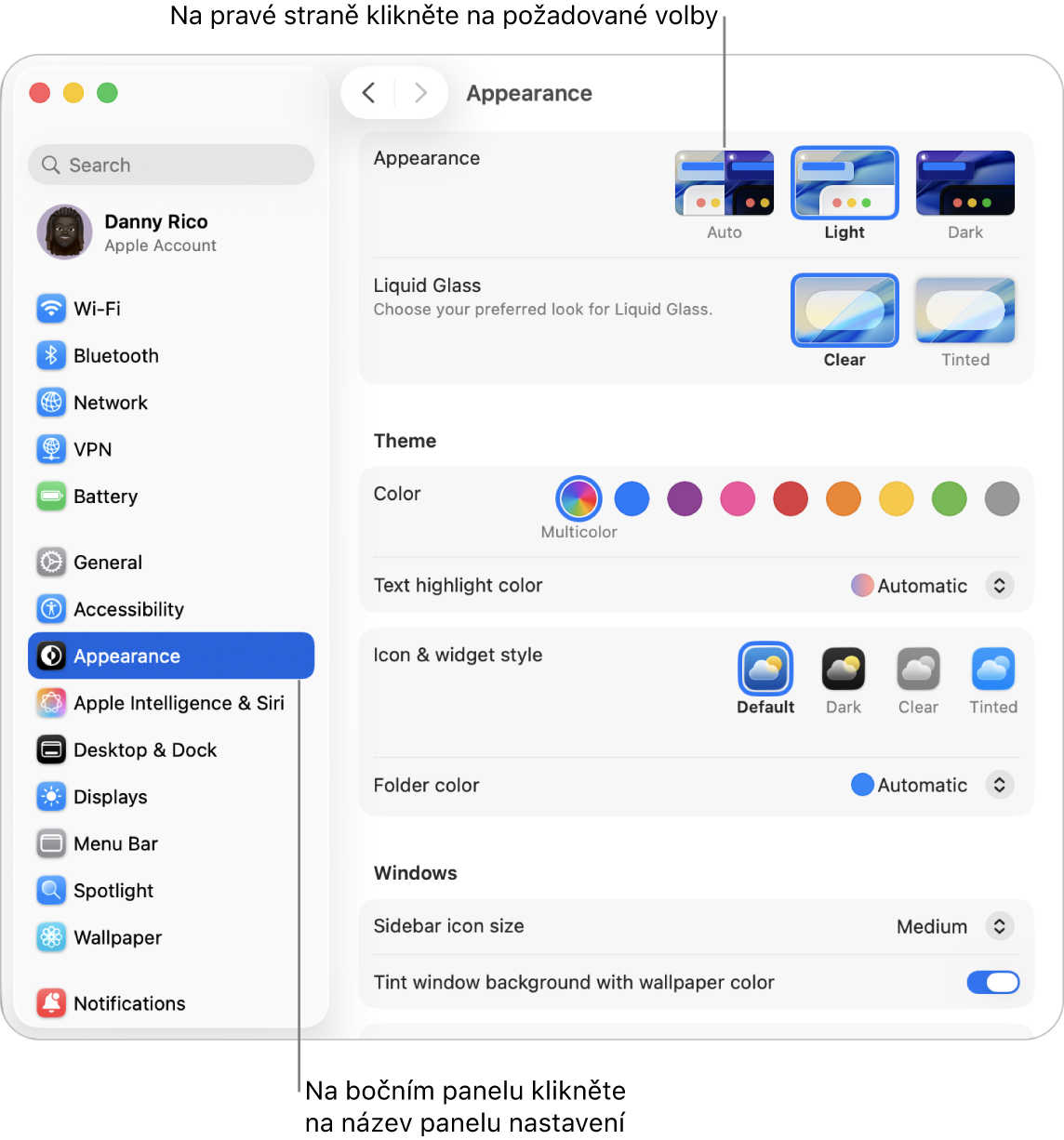 Okno Nastavení systému s nastavením Vzhled vybraným na bočním panelu a volbami Vzhled vpravo