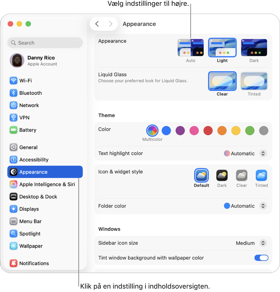 Vinduet Systemindstillinger, med indstillinger til Udseende valgt i indholdsoversigten og mulighederne for Udseende til højre.