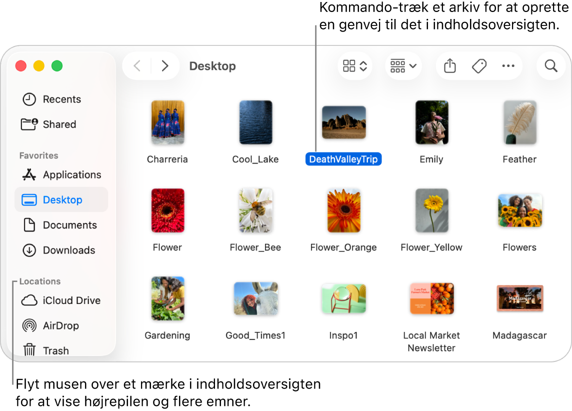 Til højre for Placeringer i indholdoversigten i Finder er der en pil, som du kan klikke på for at se de andre emner. I Findervinduet til højre er et arkiv valgt, og i indholdsoversigten er der en genvej til arkivet, under Favoritter.